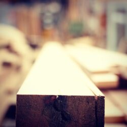 Artistic shallow depth-of-field photograph highlighting the edge detail of a timber piece, showcasing the natural texture and grain. Artistic Timber Detail Close-Up